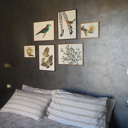B&B La Casetta Dei Nonni Orvieto Dış mekan fotoğraf