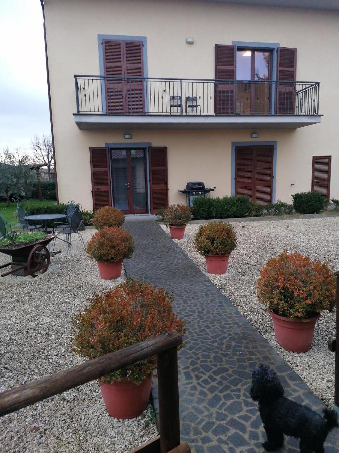 B&B La Casetta Dei Nonni Orvieto Dış mekan fotoğraf