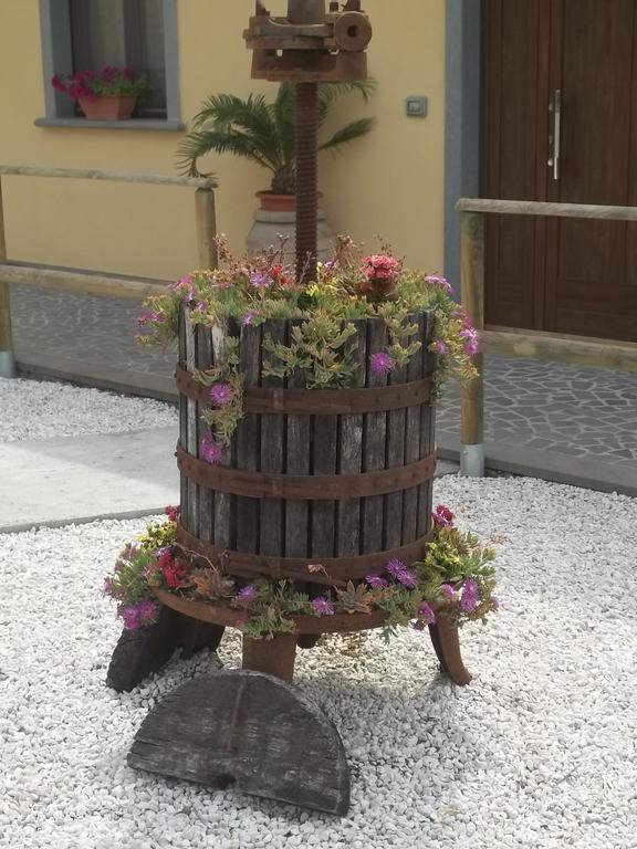 B&B La Casetta Dei Nonni Orvieto Oda fotoğraf