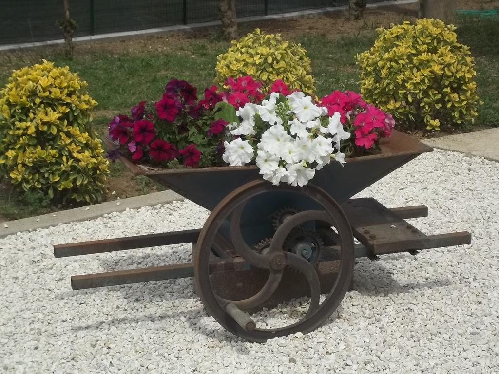 B&B La Casetta Dei Nonni Orvieto Oda fotoğraf