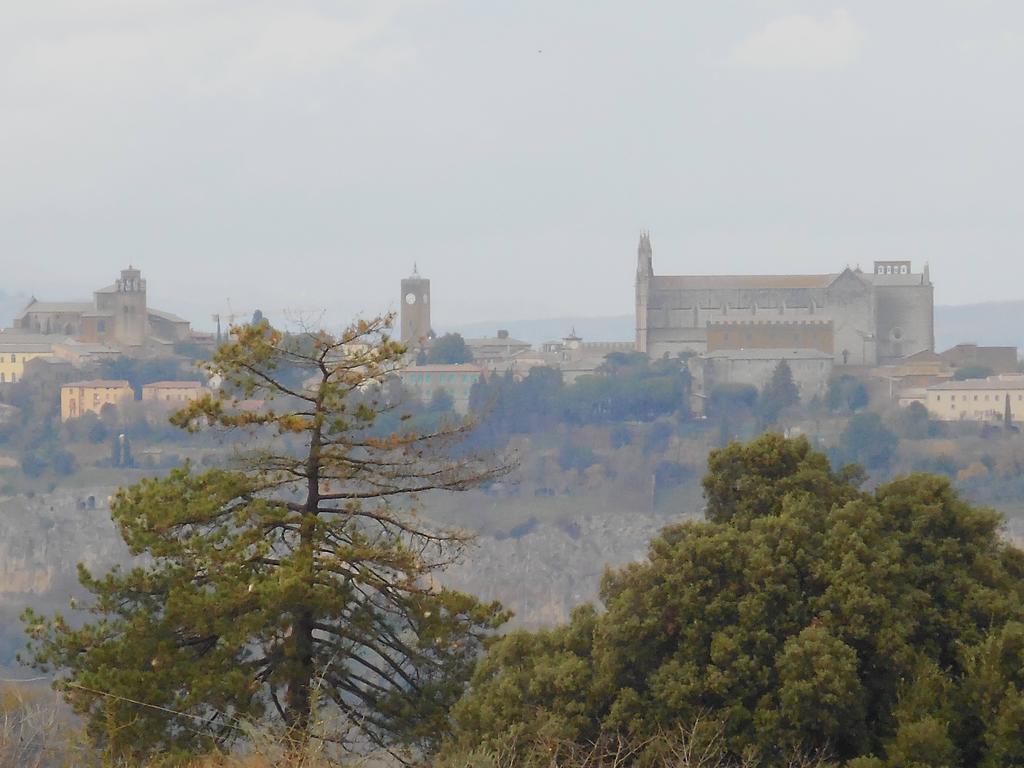 B&B La Casetta Dei Nonni Orvieto Dış mekan fotoğraf