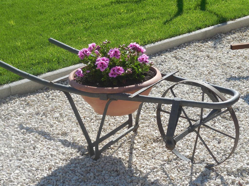 B&B La Casetta Dei Nonni Orvieto Dış mekan fotoğraf