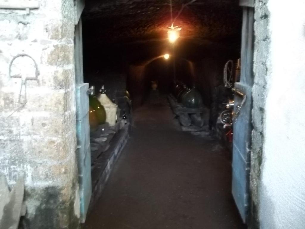 B&B La Casetta Dei Nonni Orvieto Dış mekan fotoğraf